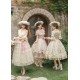 With Puji Letters and Poems-Breeze on Roses Blouse Skirt Underbust JSK OP and Sets(Pre-Order/Full Payment Without Shipping)